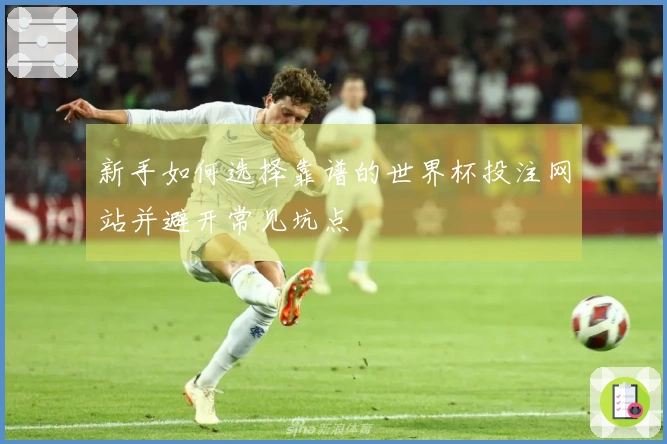 新手如何选择靠谱的世界杯投注网站并避开常见坑点