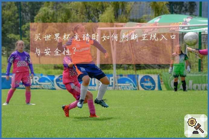 买世界杯竞猜时如何判断正规入口与安全性？