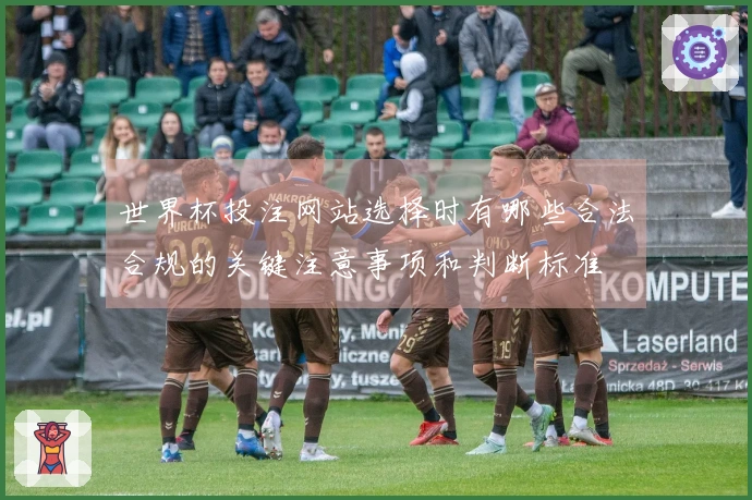 世界杯投注网站选择时有哪些合法合规的关键注意事项和判断标准
